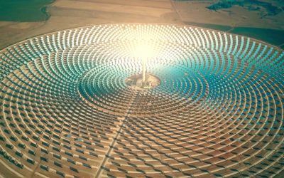 The impact of load shedding on your business and the economy